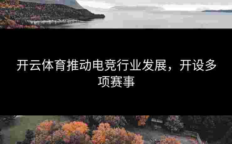 开云体育推动电竞行业发展，开设多项赛事